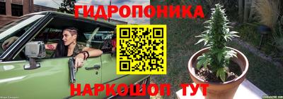 spice Кунгур