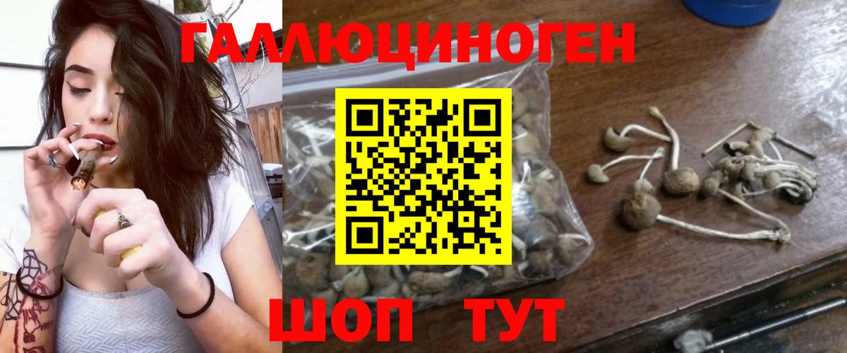Псилоцибиновые грибы MAGIC MUSHROOMS  Вход с VPN  Жуковский 