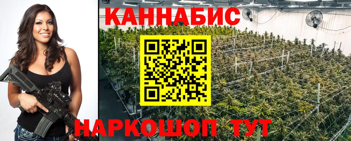 Каннабис семена Жуковский